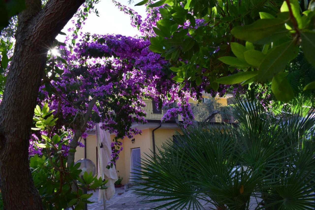 Agriturismo Il Marchese Aquara 외부 사진